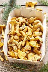 Canvas Print - Cantharellus cibarius. Mushrooms in basket.