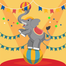 Circus Elephant. Vector Flat Illustrationarena