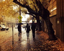 Rainy November Day In Seattle