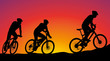 mountain bike race - vector silhouettes on the background