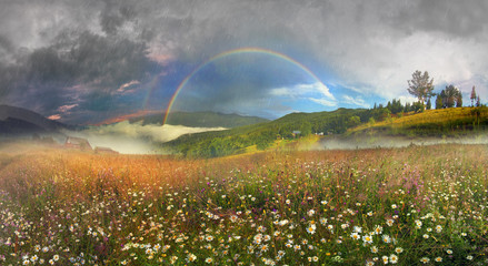 Wall Mural -  panorama of mountain meadows in Transcarpathia