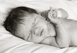 © Steve Lovegrove - Baby Girl