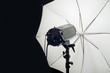 Photography Studio Flash Head with Umbrella