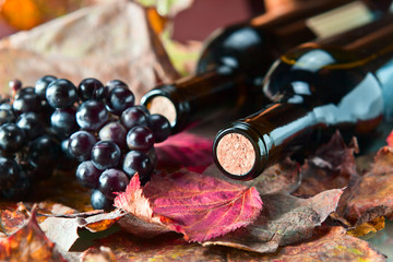 Wall Mural - bottle with wine