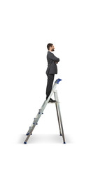 Wall Mural - businessman on the stepladder