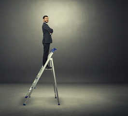 Sticker - satisfied businessman on the stepladder