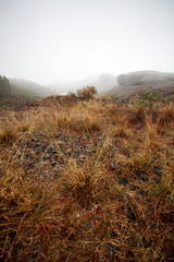 Canvas Print - Foggy landscape