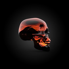 Wall Mural - Fire skull