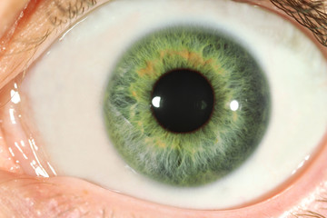 Human eye close-up