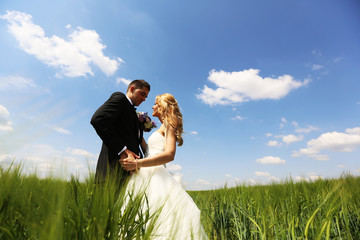 Wall Mural - Bride and groom having fun on the fields