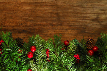 Wall Mural - christmas tree branches background