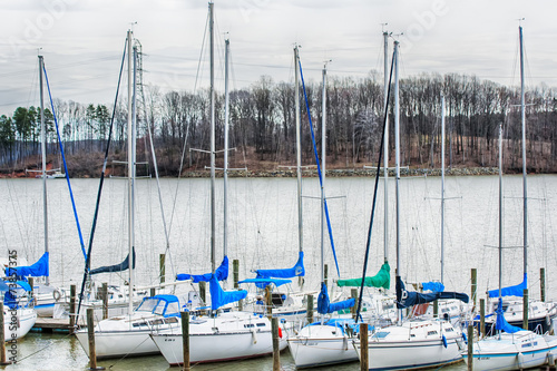 Fotografering parked yachts in harbour with cloudy skies
