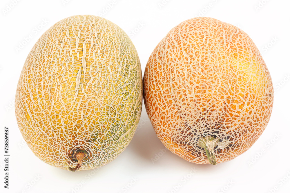 Melons isolated on white