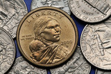 Fototapeta Nowy Jork - Coins of USA. Sacagawea Dollar