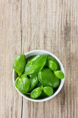 Wall Mural - Basil leaves on wooden background