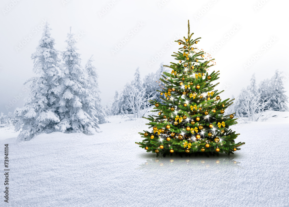 Christbaum im Schnee Stock Photo
