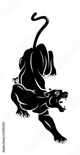 Valokuva  Panther Tattoo