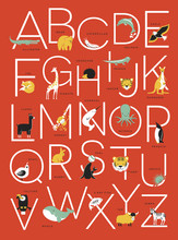 Animal Alphabet Poster Design
