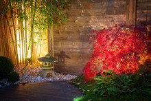 Japanese  Zen Garden Lightened By Spot Lights At Night