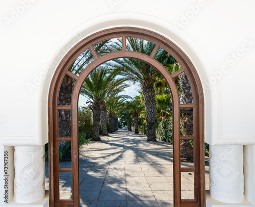 Fototapeta na wymiar arch door on the palm alley