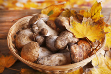 Wild Mushrooms And Autumn Leaves In Basket On Bright Background