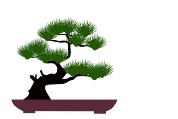 Wall Mural - bonsai silhouette