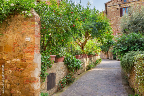 Beautiful park in the vinta...