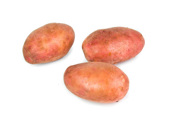 Wall Mural - Red Potato tubers on white background