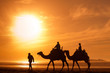 © Song_about_summer - silhouettes of camels at sunset