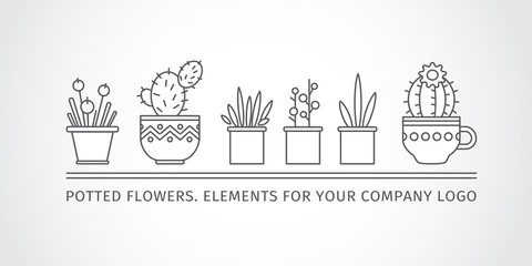 linear design, potted flowers. elements of logo.