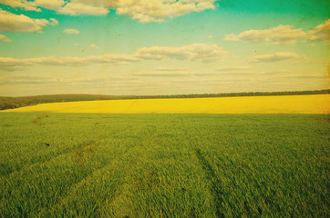 Wall Mural - field