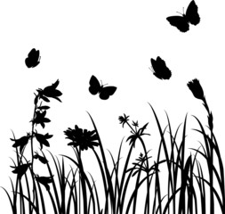 Silhouettes  of flowers and butterflies