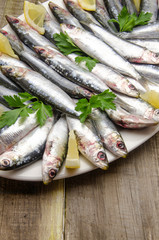 Poster - Sardinas frescas