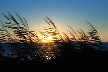 End Of Day At Reeds-Sunset On The Beach