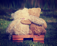 Two Teddy Bears On A Bench With Arms Around Each Other