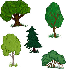 Wall Mural - set of different trees