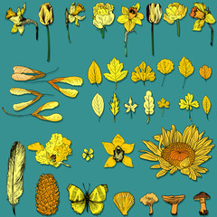 Wall Mural - Yellow objects of nature