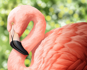Naklejka zwierzę ptak piękny obraz flamingo