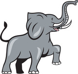 Fototapeta Dinusie - Elephant Marching Prancing Cartoon