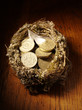 Bird's Nest filled with British Pounds