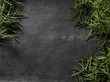 Bamboo leaves on a slate background