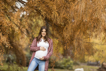 Wall Mural - Young pregnant woman in the autumn park