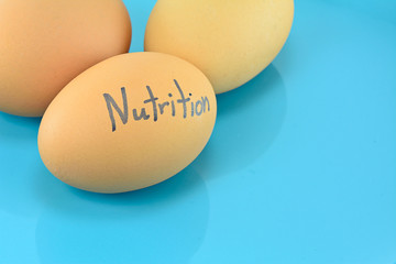 eggs with word nutrition on blue plate for food concep