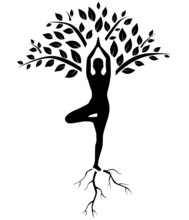 Yoga Tree Pose Silhouette