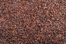 Cocoa Beans Background