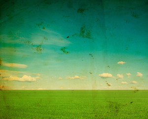 Wall Mural - green field