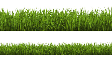 Fresh green grass isolated on white background