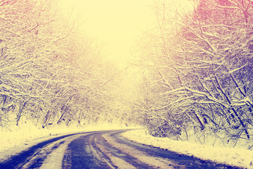 Wall Mural - Winter road