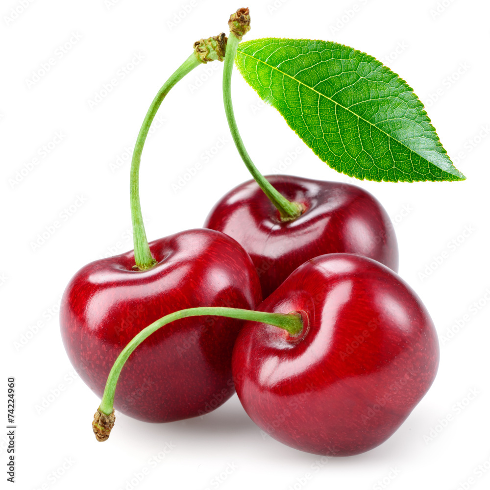 Cherry with leaf isolated on white. - obrazy, fototapety, plakaty 