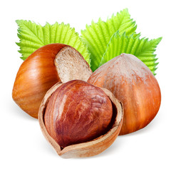 Wall Mural - Hazelnuts with leaves